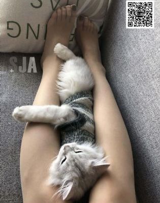 末路皇妃_1080P高清完整版播放