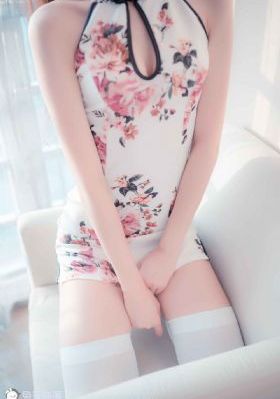 猎罪图鉴在线观看_DVD免费观看