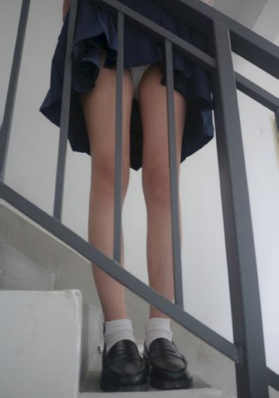 游戏王zexal_高清直播在线观看