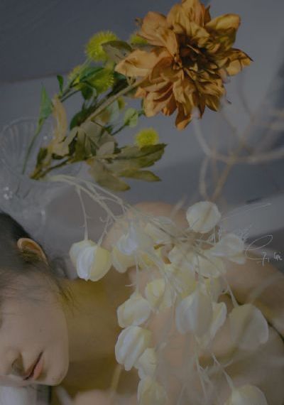 青之芦苇_BD在线观看